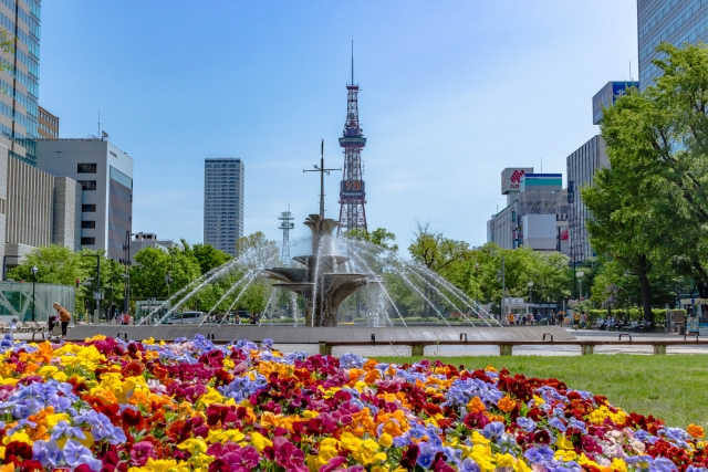 夏の大通公園の写真