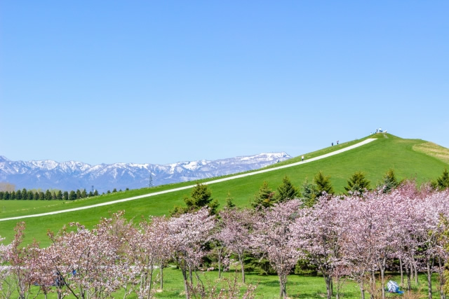 モエレ沼公園の写真